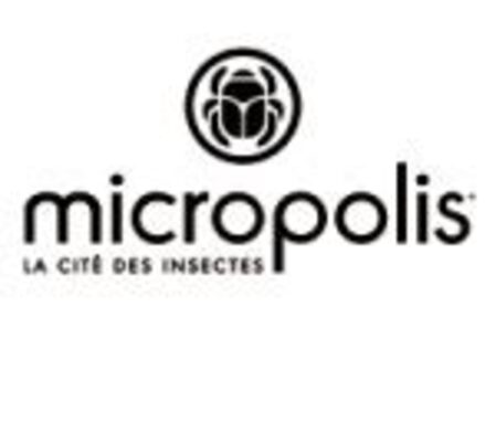 micropolis.jpg